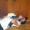 Nick O'Neil 1