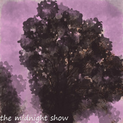 The Midnight Show