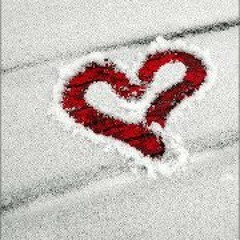 Donna Schneider-Murphy