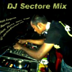 dj-sectore
