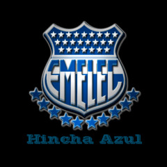 Hincha Azul