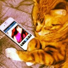 Amarie DiGiovannantonio