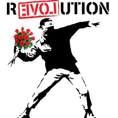 REVOLUTION 2014