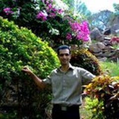 Mohammad Amin Farvardin