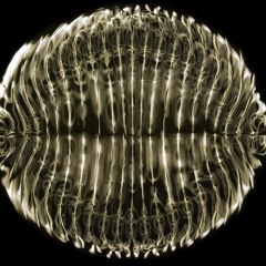 She's Lost Control master