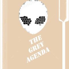 The Grey Agenda - Professor Black
