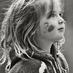 Samar Shehab