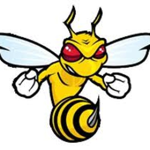 BeesWHACKS’s avatar