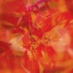 Chris Chilli Ciliberti