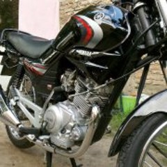 Mattias Steve Stifler