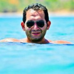 Amr B. ElSherif