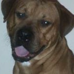 James Lavelle at Castle Bromwich