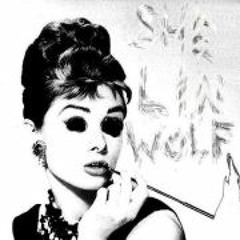 Shelin Wolf
