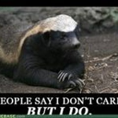 Dee J Honey Badger