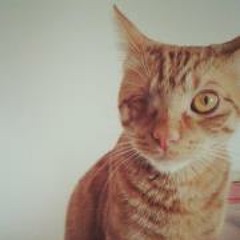 Esthercita Batiscafo