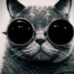 Passan Cat