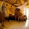 Diogo d'Orey