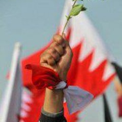 Sayed Ahmed Alnajar