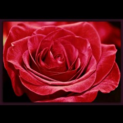 R.Fatima