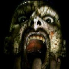 Stefan Van Broeckhoven