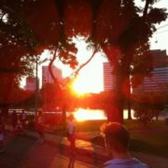 Constantin Diederichs