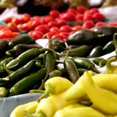 Greedy SO Refresh Iverson