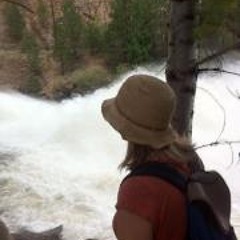 Sue Chambers Wallingford