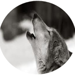 Wolfs_
