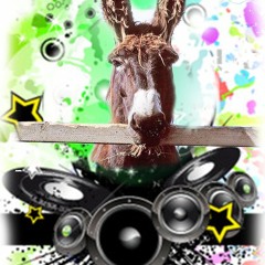 DJ DONKEY MUSIC ENTERTAIN