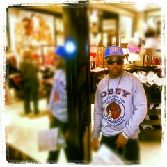 hporiginalpieflippers