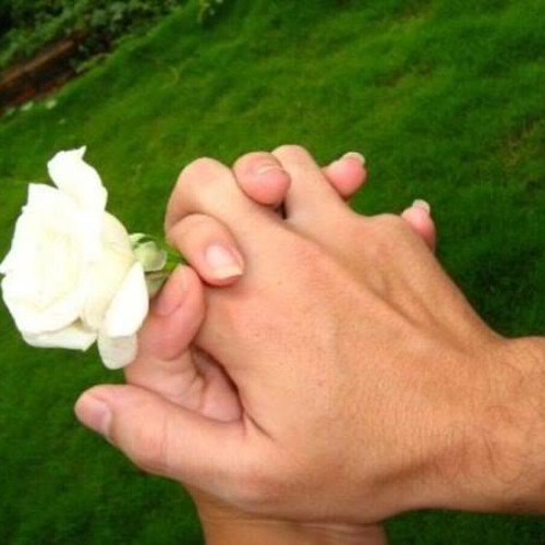 حاتم العراقي واحد يحب واحد & مقطع عيد الحب الجديد