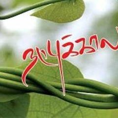 DAMUTAMIL2000