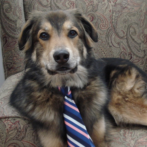 Soar With The Dragons - 9 30 15, 2.20 PM