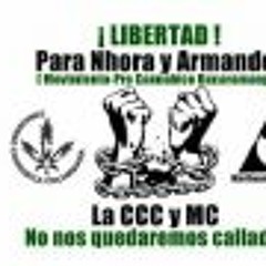 Marcha Pro-Cannabica