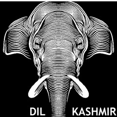 DIL KASHMIR