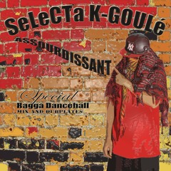 Selecta K-goulé