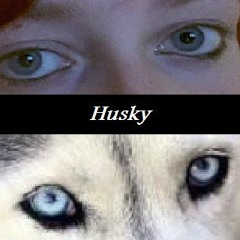 Husky Spirit