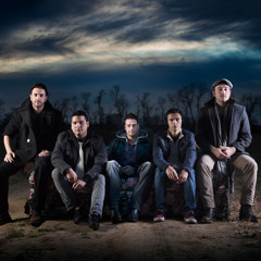 Bears And Motorcycles