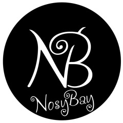 NosyBay