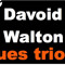 Davoid Walton Blues Trio