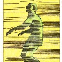 David Shankleton Shenawy