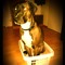 _7winkie_