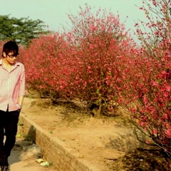 Nhac viet