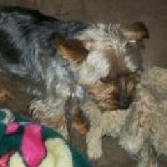 Bill burr being a mother drum along