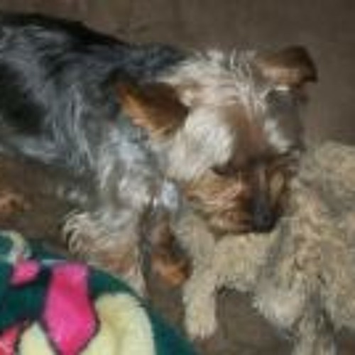 Bill burr being a mother drum along