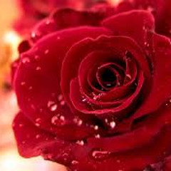 Matthew Elijah Quizon