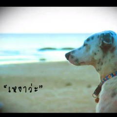 บ่องตง - คาวบอย