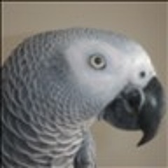 SoundCloud1200