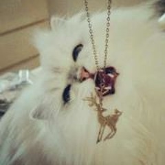 Michelle Rollinson-Berry