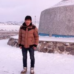 Mongolian Boxer Zoloo